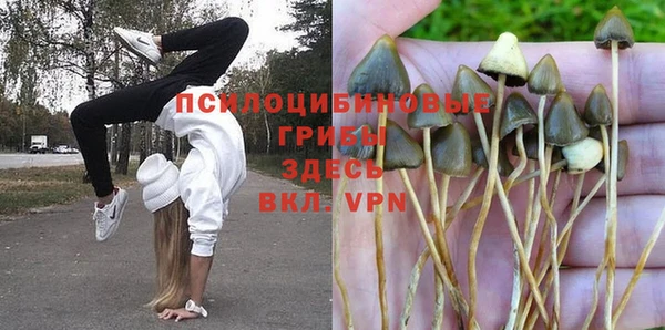 винт Верхний Тагил